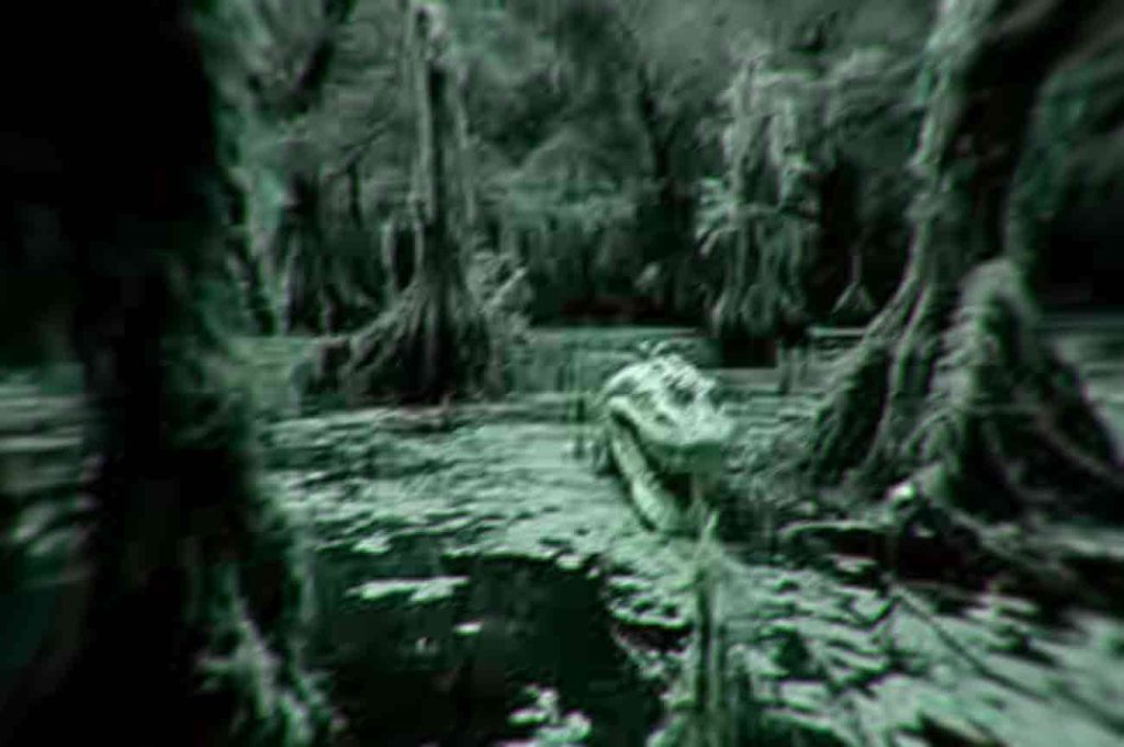 from the fisherman's footage. he does not want it back.